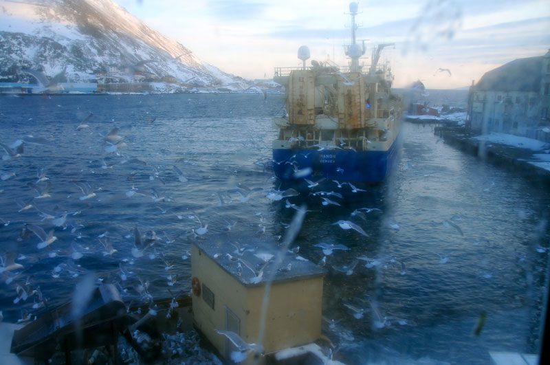 Scandinavie, Norvge, Sude, Finlande